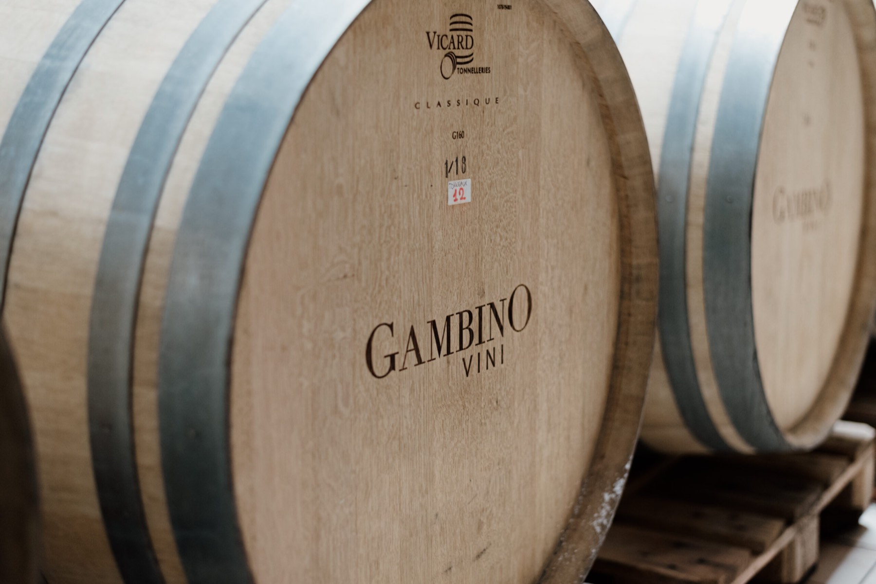 Botti di rovere con il marchio Gambino nella cantina sotterranea